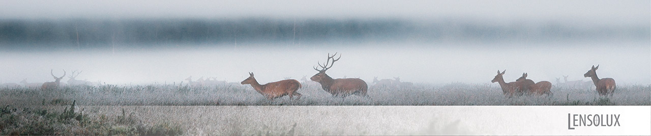 Jagd/Sport